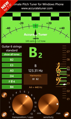 Скриншот приложения Accurate Tuner Beta - №3
