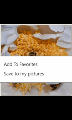 Скриншот приложения Picasa Browser 2 - №8