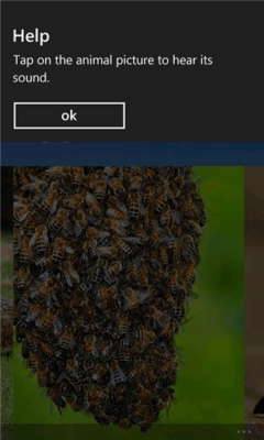 Скриншот приложения Barn Sound - №4