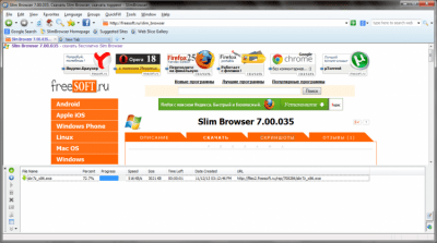 Скриншот приложения Slim Browser Portable - №3