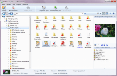 Скриншот приложения RS File Recovery - №2