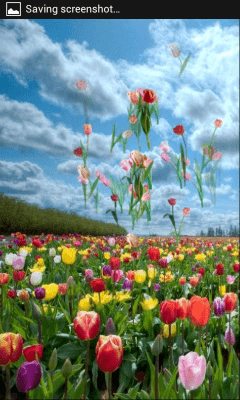 Скриншот приложения Тюльпаны - №3