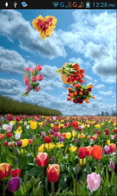 Скриншот приложения Тюльпаны - №7