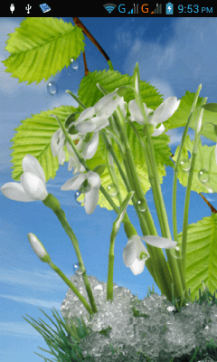 Скриншот приложения Spring - №7