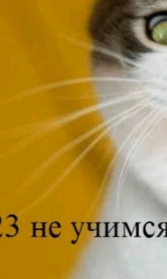 Скриншот приложения Все комиксы RUнета - №3