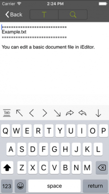 Скриншот приложения iEditor - №4