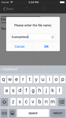 Скриншот приложения iEditor - №5