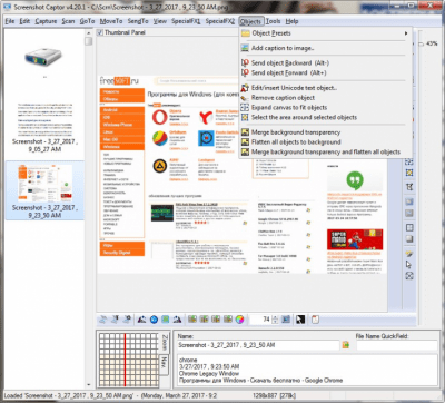 Скриншот приложения Screenshot Captor Portable - №4