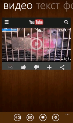 Скриншот приложения BNews.kz - №6