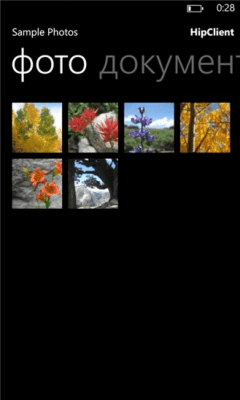 Скриншот приложения HipClient - №3