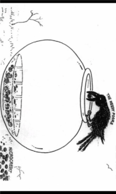 Скриншот приложения Poverty - №3