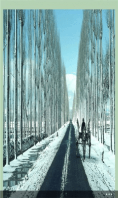 Скриншот приложения Kashmir - №3