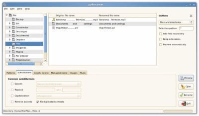 Скриншот приложения pyRenamer - №3