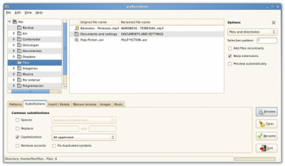 Скриншот приложения pyRenamer - №4