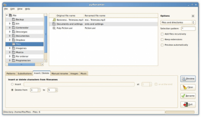 Скриншот приложения pyRenamer - №6