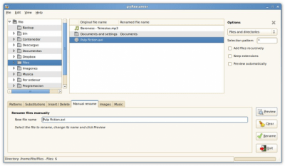 Скриншот приложения pyRenamer - №7