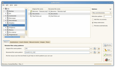 Скриншот приложения pyRenamer - №8
