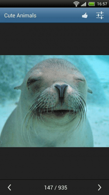Скриншот приложения Симпатичные животные - №3