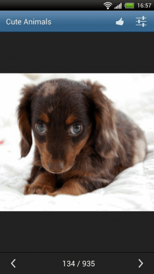 Скриншот приложения Симпатичные животные - №4