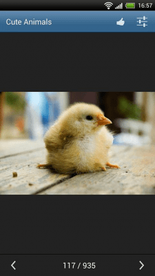 Скриншот приложения Симпатичные животные - №5