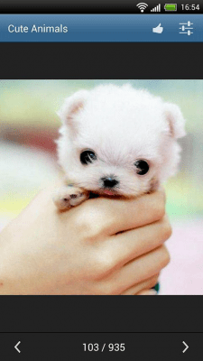 Скриншот приложения Симпатичные животные - №6