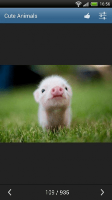 Скриншот приложения Симпатичные животные - №7