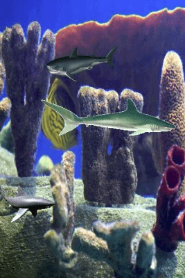Скриншот приложения Shark Pond - №2