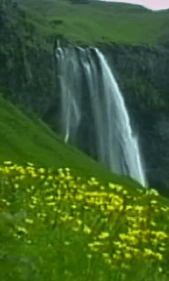 Скриншот приложения Flowers Waterfall - №1