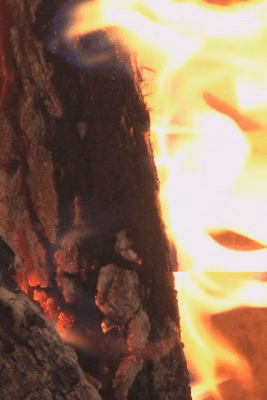 Скриншот приложения Fireplace Closeup - №1