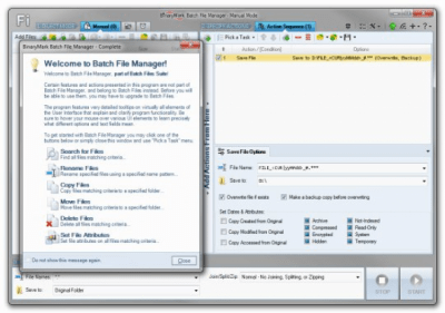 Скриншот приложения BinaryMark Batch File Manager - №1
