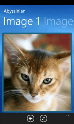 Скриншот приложения Cats Guide - №4