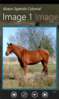 Скриншот приложения Horse Guide - №6