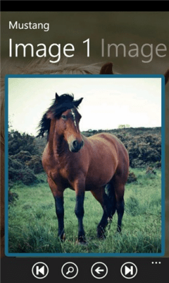 Скриншот приложения Horse Guide - №7