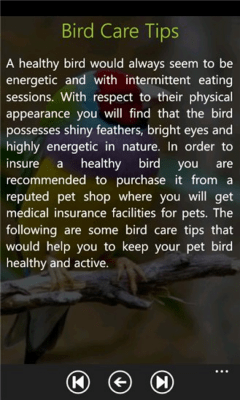 Скриншот приложения Birds Care Guide - №3