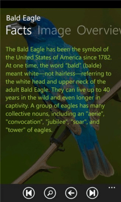 Скриншот приложения Birds Guide - №4