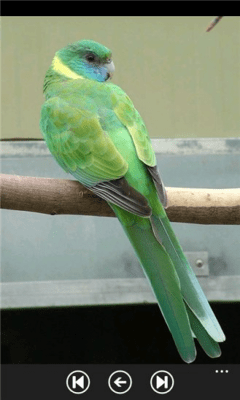 Скриншот приложения Parrot Guide - №7