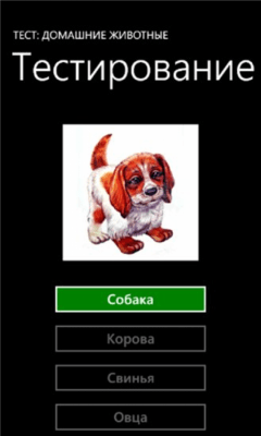 Скриншот приложения Тест: Домашние Животные - №3