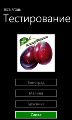 Скриншот приложения Тест: Ягоды - №3