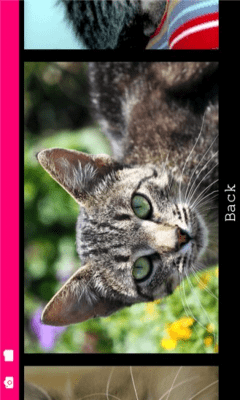 Скриншот приложения Cat Puzzle - №7