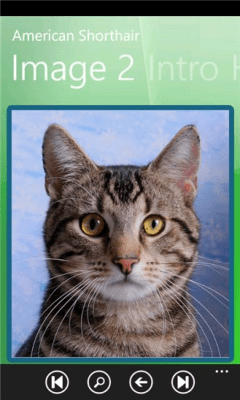 Скриншот приложения Cat Breed Selector Free - №7
