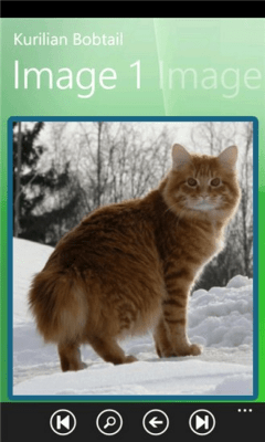 Скриншот приложения Cat Breed Selector Free - №8