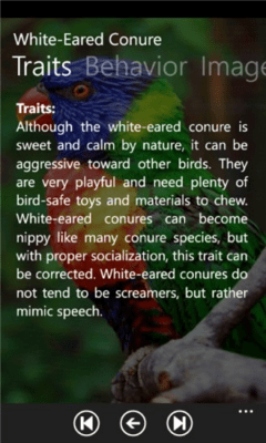 Скриншот приложения Parrot Species - №4