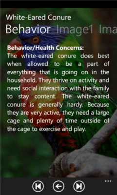Скриншот приложения Parrot Species - №5
