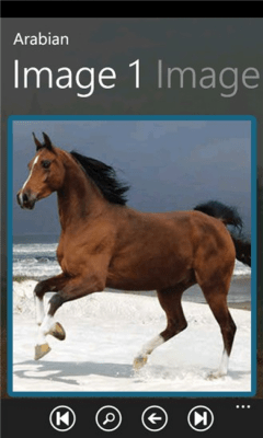 Скриншот приложения Horse Breeds - №6