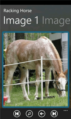 Скриншот приложения Horse Breeds - №7