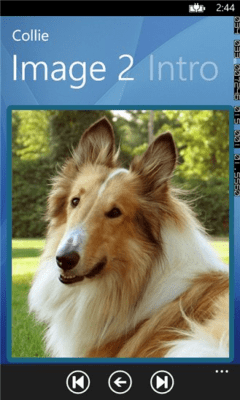 Скриншот приложения Dog Breed Selector Free - №2