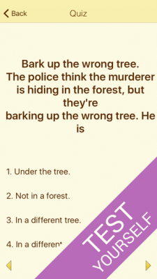 Скриншот приложения English Idioms Dictionary - №5