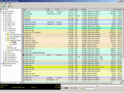 Скриншот приложения Toolsoft Audio Manager - №1