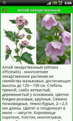 Скриншот приложения Зеленая аптека - №4