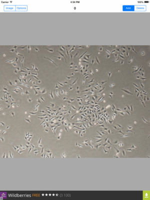 Скриншот приложения Visual Counter - №8